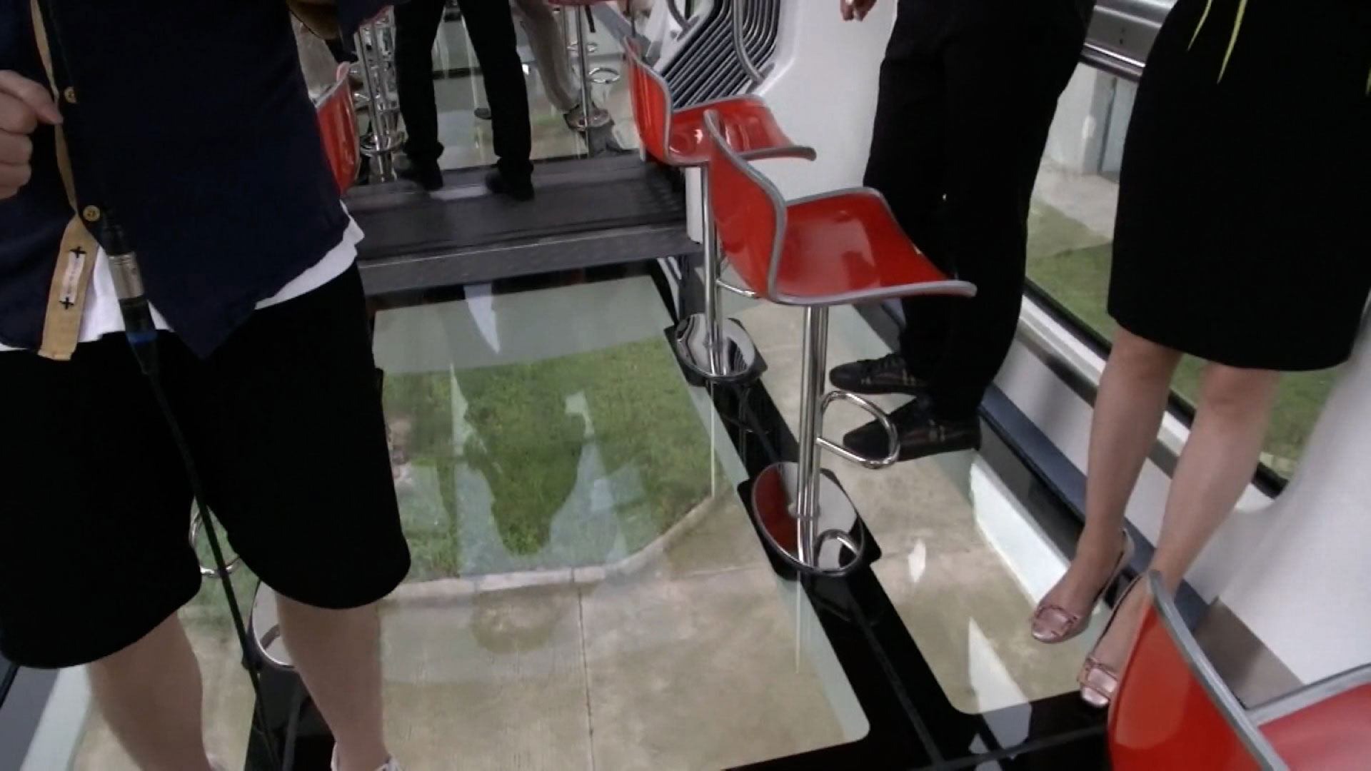 Glass-bottomed panda train debuts in China